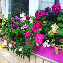 Смесь балконная Микс