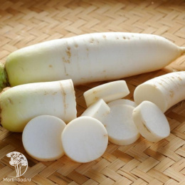 Дайкон Рыцарь автор.