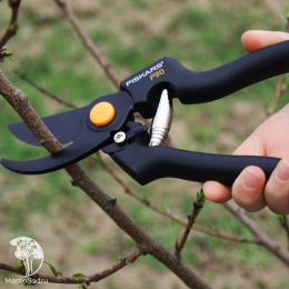 Профессиональный садовый секатор P90