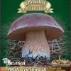 Мицелий Белый гриб Сосновый на зерновом субстрате фото 1 