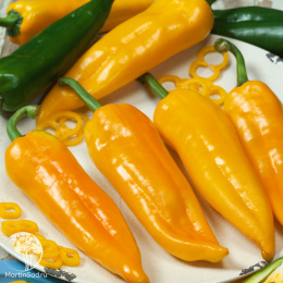 Перец сладкий Желтая Капия F1 ( 2-ной пак.)