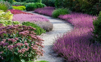 Как правильно выбрать многолетние растения для оформления бордюров в ландшафтном дизайне