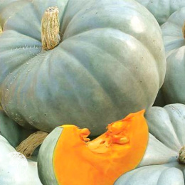 Тыква Зимняя сладкая