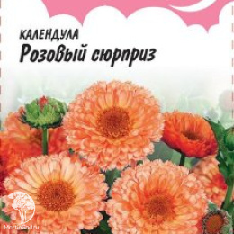 Календула Розовый сюрприз, серия Розовые сны