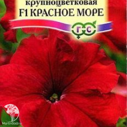 Петуния Красное море крупноцветковая
