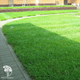 Газон Универсальный