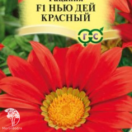 Гацания Нью Дей Красный F1, серия Элитная клумба