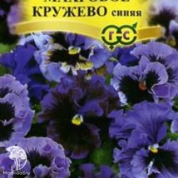 Виола Махровое кружево синяя F1 Виттрока (Анютины глазки) серия Элитная клумба
