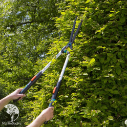 Ножницы для живой изгороди механические Gardena TeleCut
