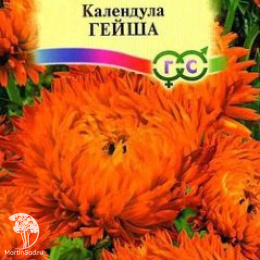 Календула Гейша 