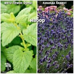 Набор для чая мята Лемон Фрэш + лаванда Хидкот