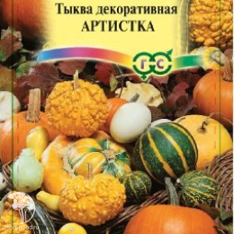 Тыква Декоративная Артистка, смесь 