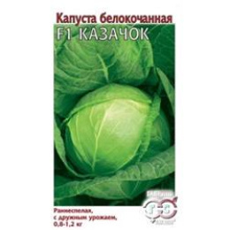 Капуста белокоч. Казачок  ранняя