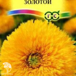 Подсолнечник Золотой 0,5 г