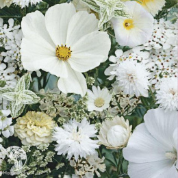 Декоративная смесь Белая сказка 