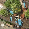 Комплект садовых инструментов Gardena базовый "Домашнее садоводство" (секатор, лопатка, совок для прополки, перчатки садовые) фото 1 
