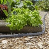 Шланг текстильный Gardena Liano 13 мм (1/2"), 10 м с комплектом для полива и штуцером с наружней резьбой (распылитель для полива 18310-20, 3 адаптера, новый штуцер с наружней резьбой) фото 4 