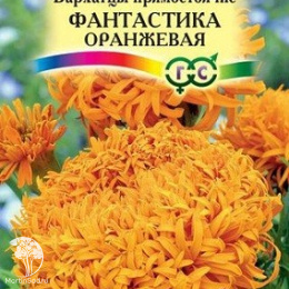 Бархатцы прямостоячие (Тагетес прямостоячий) Фантастик