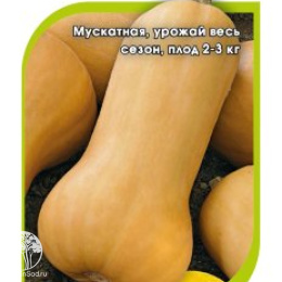 Тыква Атлас F1, мускатная(Саката)