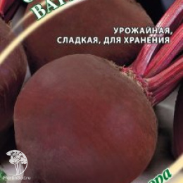 Свекла Варюша автор