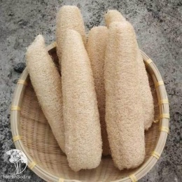 Люффа Мочалка Мойдодыр