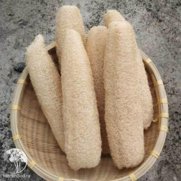 Люффа Мочалка Мойдодыр