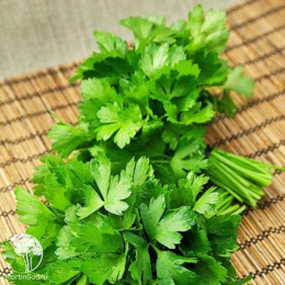 Петрушка листовая Бутербродная