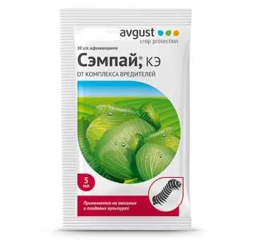 Фото Сэмпай