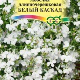 Лобелия Белый каскад, ампельная