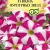 Петуния Волна Пурпурных звезд F1 (Минитуния) суперкаскадная фото 1 