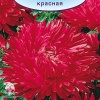 Астра королевский размер Красная фото 1 