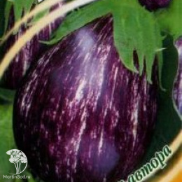 Баклажан Полундра 