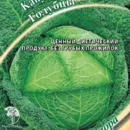 Капуста савойская Голубцы автор