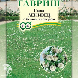 Газон Ленивец с белым клевером