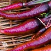 Морковь Карамель малиновая 150 шт. фото 1 