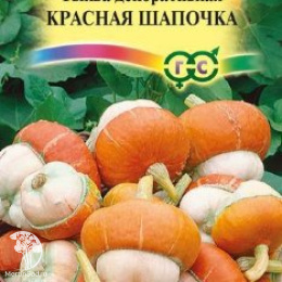 Тыква декоративная Красная шапочка 