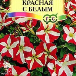 Петуния Красная с белым ампельная