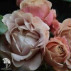 Роза флорибунда Коко Локо фото 2 
