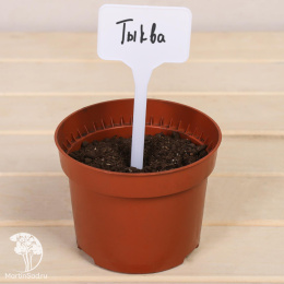 Ярлык садовый для маркировки, 15 см белые