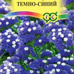 Лимониум темно-синий