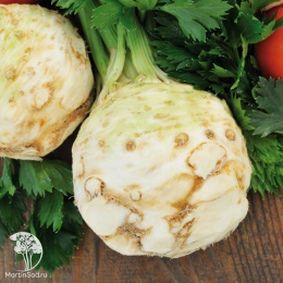 Сельдерей корневой Яблочный