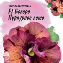 Виола Болеро Пурпурное лето F1, Виттрока (Анютины глазки), серия Фарао