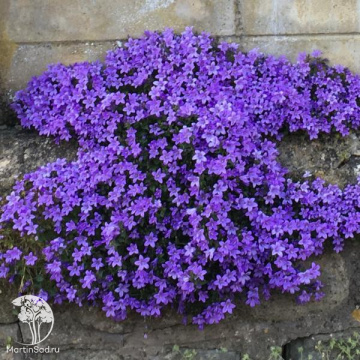 Фото Колокольчик Портеншлага Клоквайз Компакт Дип Блю