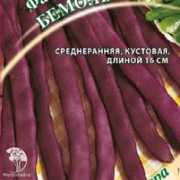 Фасоль Бемоль 