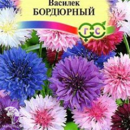 Василек Бордюрный, синий (смесь)