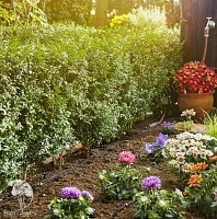 Шланг сочащийся Gardena для наземной прокладки 4.6 мм (3/16”)