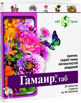 Фото Гамаир