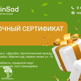 Подарочный сертификат