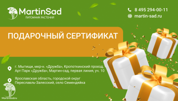 Фото Подарочный сертификат