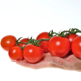 Томат Барух F1 ( 2-ной пак.)